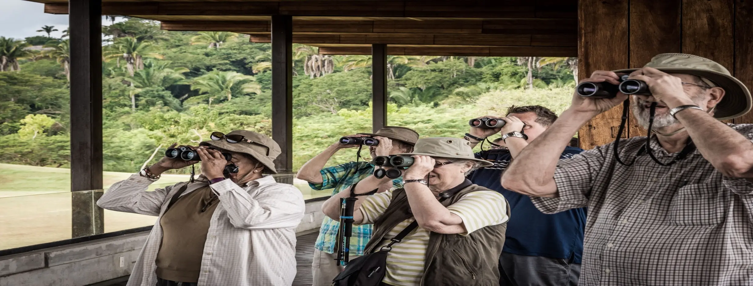 Image for Birdwatching Tour